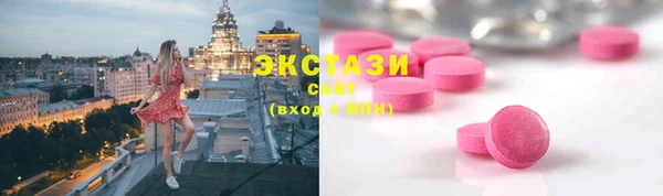 СК Ельня