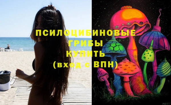 спиды Заводоуковск