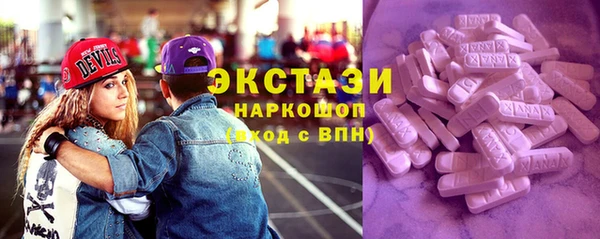 шишки Инсар
