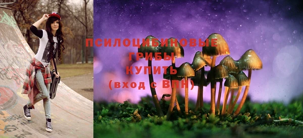 СК Заволжск