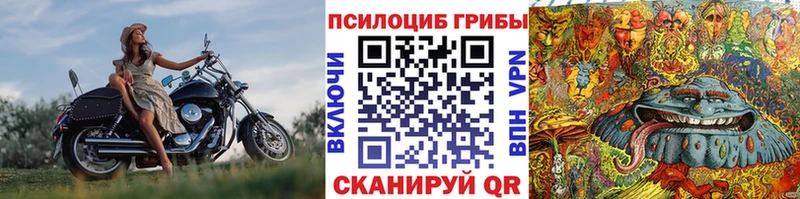 Галлюциногенные грибы Cubensis  купить наркотики сайты  Исилькуль 